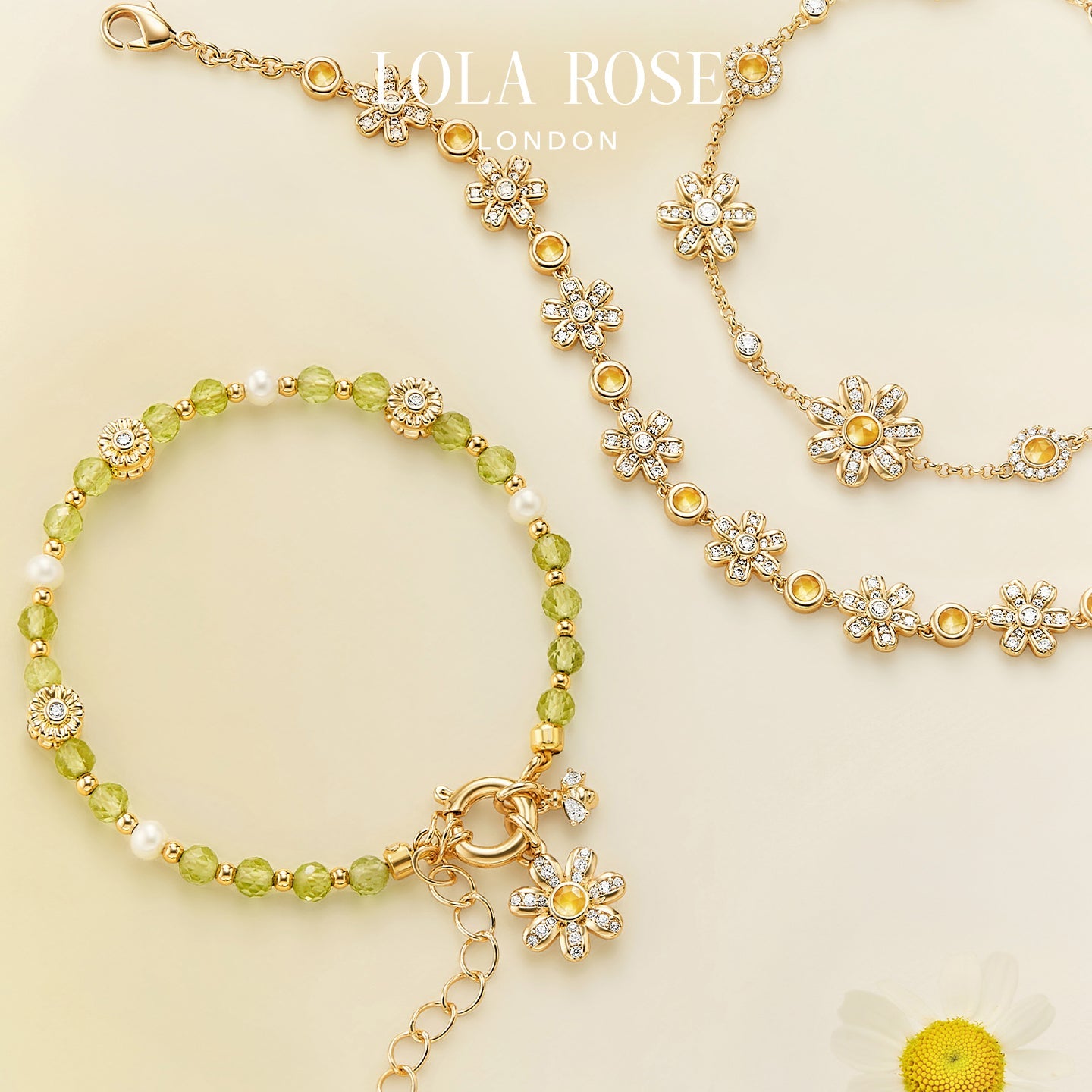 Daisy Full Bloom Choker Bracelet (Shipping from March 21th)